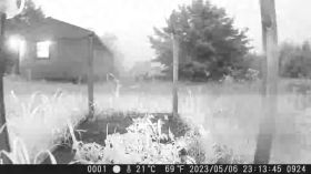 Trailcam - Our Garden in a Spring Storm (Uncut) by digitante_channel
